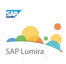SAP Business One Lumira